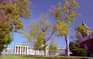 Picture: Prvnick univerzita Washington & Lee v Lexingtone